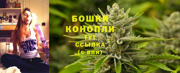 амф Каменногорск