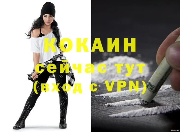 кокс Каменка