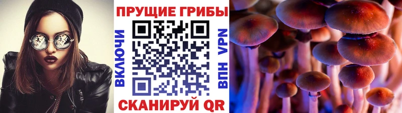 Псилоцибиновые грибы прущие грибы  Купить закладки  Заводоуковск 