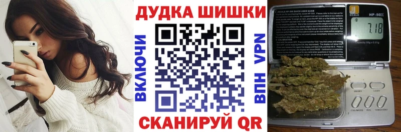 Купить закладки  Заводоуковск  Канабис семена 